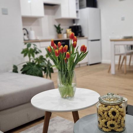 ילנייה גורה Apartament Na Skalkach מראה חיצוני תמונה